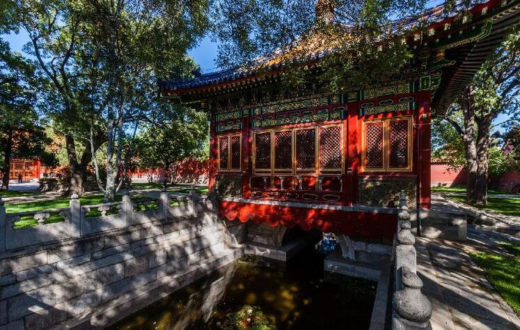 古建中国皇家园林之慈宁宫花园 一草一木尽显繁华
