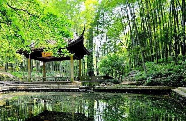 中国园林竹景 画意中一抹灵感