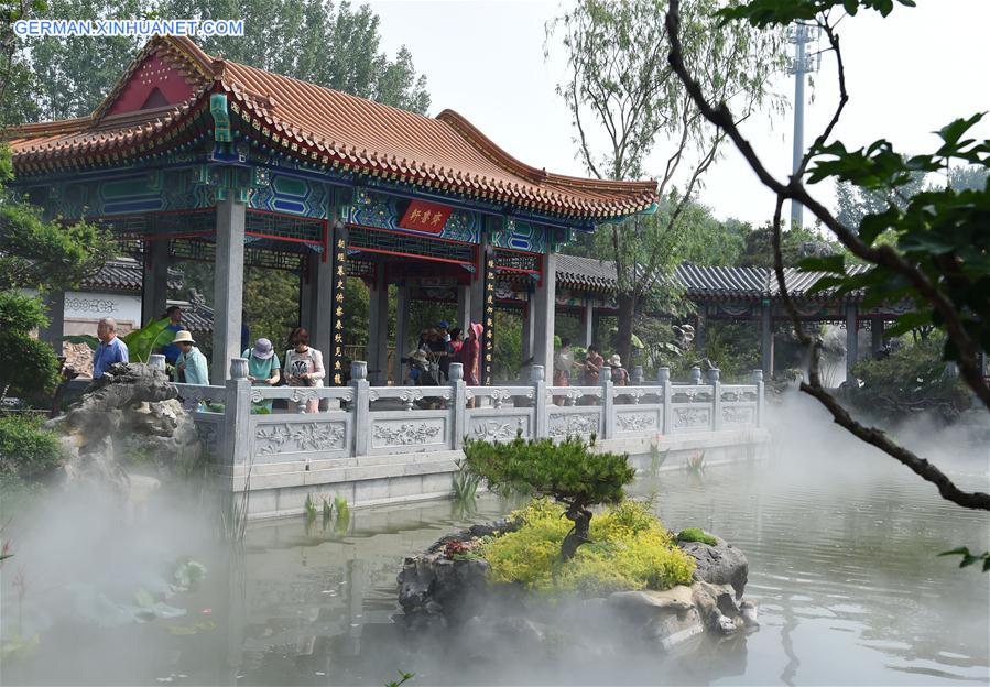 #CHINA-BEIJING-HORTICULTURAL EXPO-SHANDONG DAY (CN)