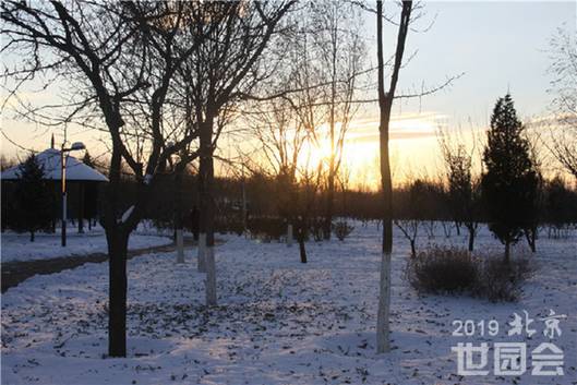 http://images.china.cn/attachement/jpg/site1000/20151127/b8aeed966ee317c258bd24.jpg