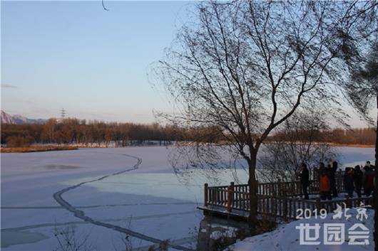 http://images.china.cn/attachement/jpg/site1000/20151127/b8aeed966ee317c258bd25.jpg