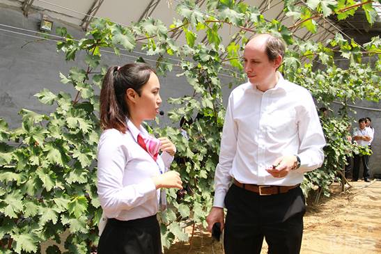 Tim Briercliffe, Secretary-General of AIPH, is listening to a guide interpreter to introduce the knowledge of grapes.