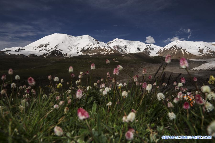 (EcoChina)CHINA-HORTICULTURAL EXPO-QINGHAI (CN)